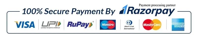 wasender payment options